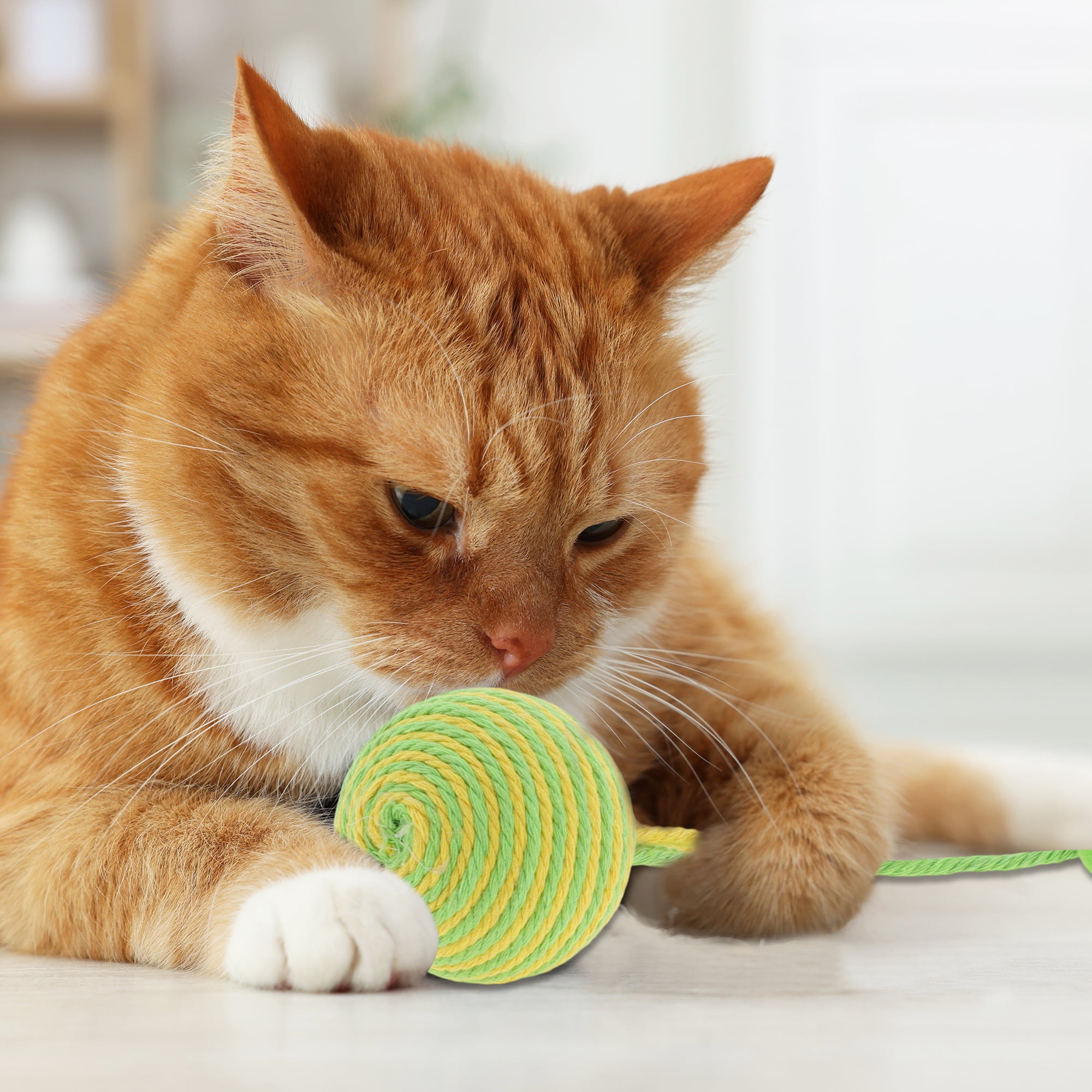 Unique Bargains Safe Teeth Cleaning Chew Balls for Cat [Cotton Ball Combination]