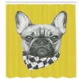 thumbnail image 3 of Ambesonne Bulldog Shower Curtain, French Breed Retro Style, 69"Wx70"L, Pale Earth Yellow Grey, 3 of 5
