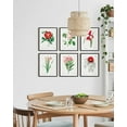 thumbnail image 5 of HAUS AND HUES Vintage Flower Posters and Prints - Set of 6 Wildflower Wall Art Botanical Print Set, Plant Poster Vintage Floral Art Prints for Wall Vintage Botanical Prints Wall Art (16x20, Unframed), 5 of 6