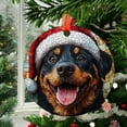 thumbnail image 2 of Boykin Spaniels Dog 16 Christmas Ornament, Xmas Hanging Ornament, Mother’S Day Ornament, Valentine Ornament Gift, Celebration Hanging Decor, Keepsake 2025, 2 of 5