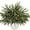 Green Norfolk Pine Stems 12pc, variant on JEWLALO 12Pcs Christmas Norfolk Pine Stems, 18'' Long Artificial Evergreen Norfolk Pine Branches, Real Touch Greenery Picks, Faux Floral Branch for Mantel DIY Xmas Home Indoor Christmas Decorations