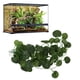 thumbnail image 3 of Plantas de reptiles para terrorio, Enredaderas de reptiles plátulas de reptiles terrorio de selva flexible y plantas flexibles colgantes enredaderas hojas artificiales, 3 of 7