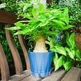 thumbnail image 4 of OAKBAY 10 Pieces of 10 inch Clear Plastic Plant Saucer Drip Trays for pots (10"), 4 of 4