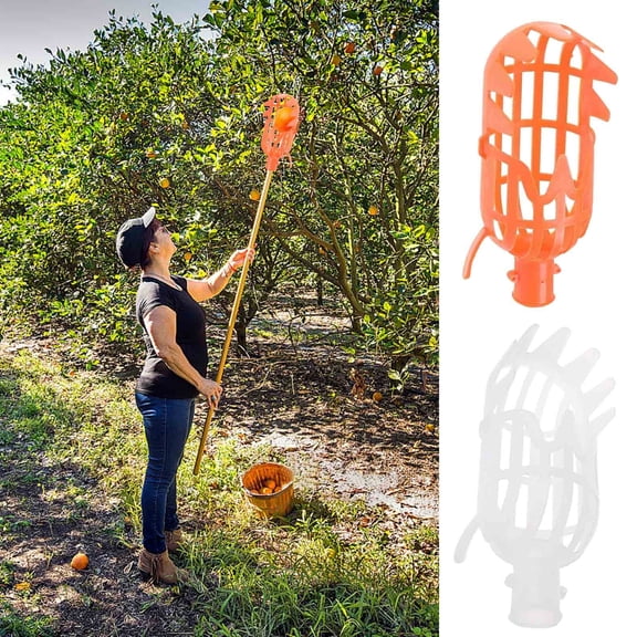 Fruit Picker Basket for Orchard Harvesting, Easy Attach Tool for Pear and Orange Picking, Fits Standard Poles, Quick and Convenient