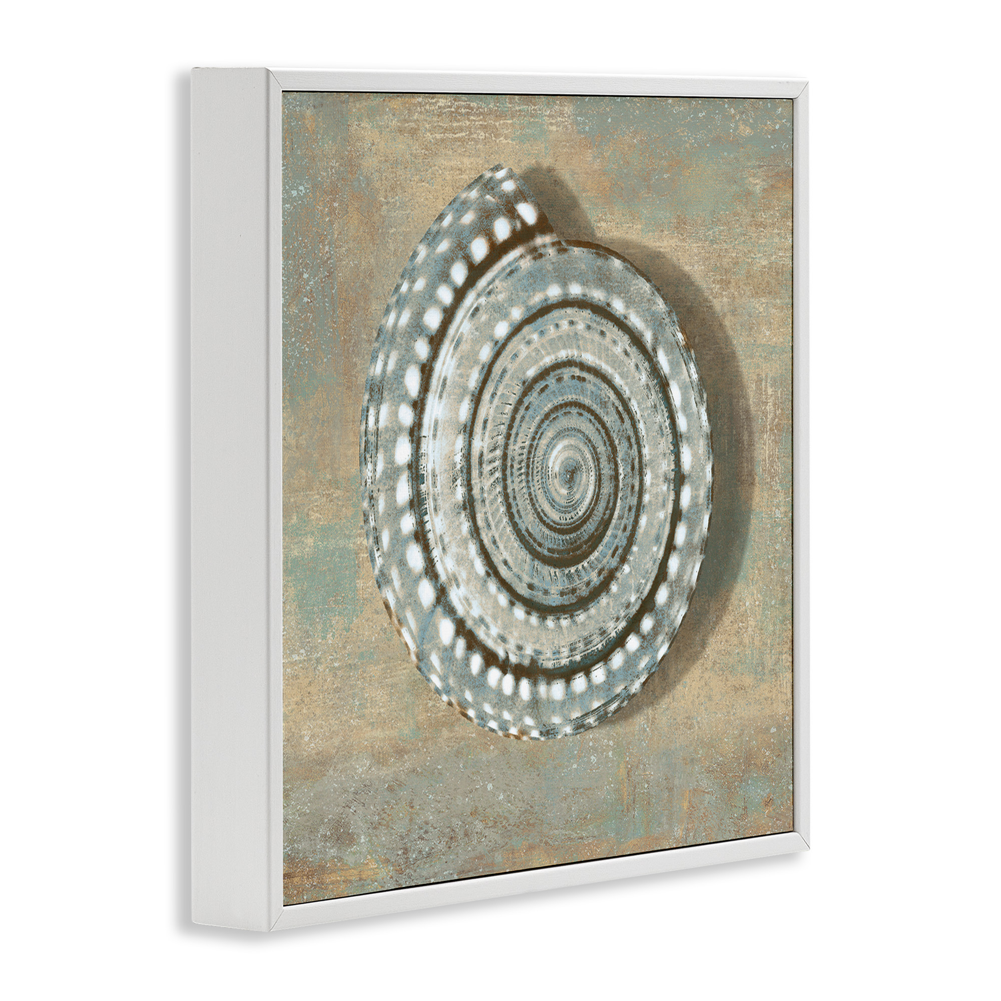 Stupell Industries Spiral Shell Beach Objects Design Nature Painting White Framed Art Print Wall Art, 17 x 17