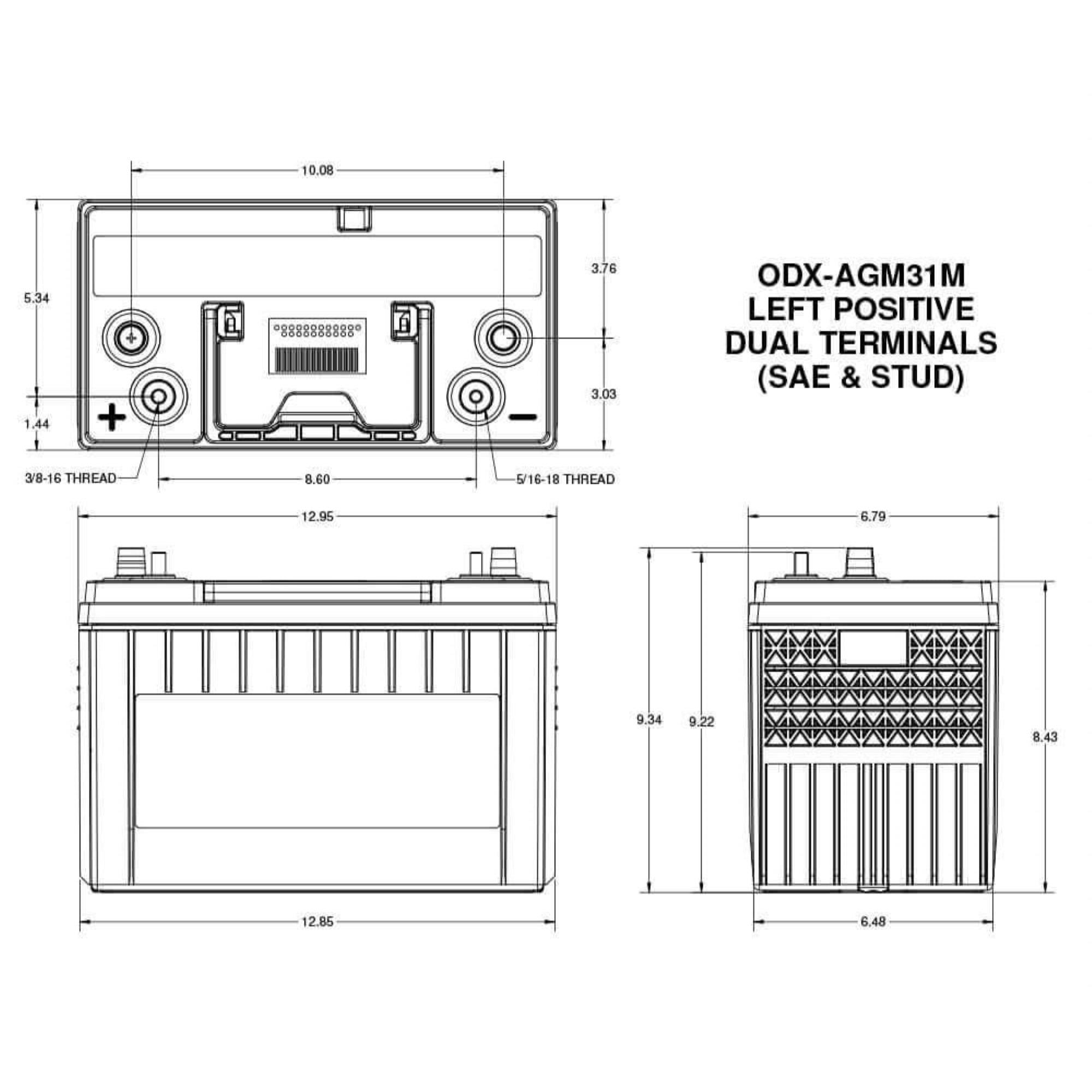 Odyssey Battery ODX-AGM31M Extreme Series AGM Battery