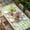 Green, variant on Easter Bunny Table Cloths for 8 Foot Rectangle Tables, Spring Easter Eggs Chick Floral Pink Check Patio Waterproof Elastic Fitted Tablecloths, Washable Rectangular Table Cover for Camping