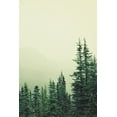 thumbnail image 2 of Colligan, Lynann 23x32 White Modern Wood Framed Museum Art Print Titled - Rocky Mountain 6, 2 of 4