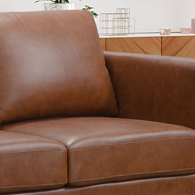 Devon & Claire Prado Mid-Century Top Grain Leather Sofa