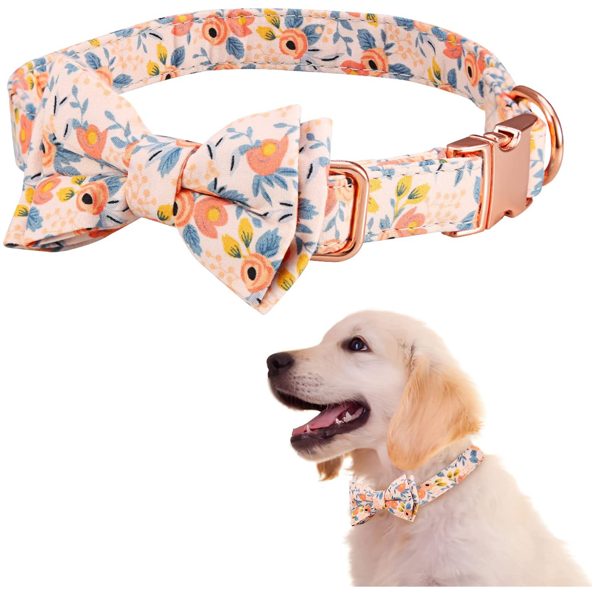 What Size Collar Should I Get For A Golden Retriever Puppy