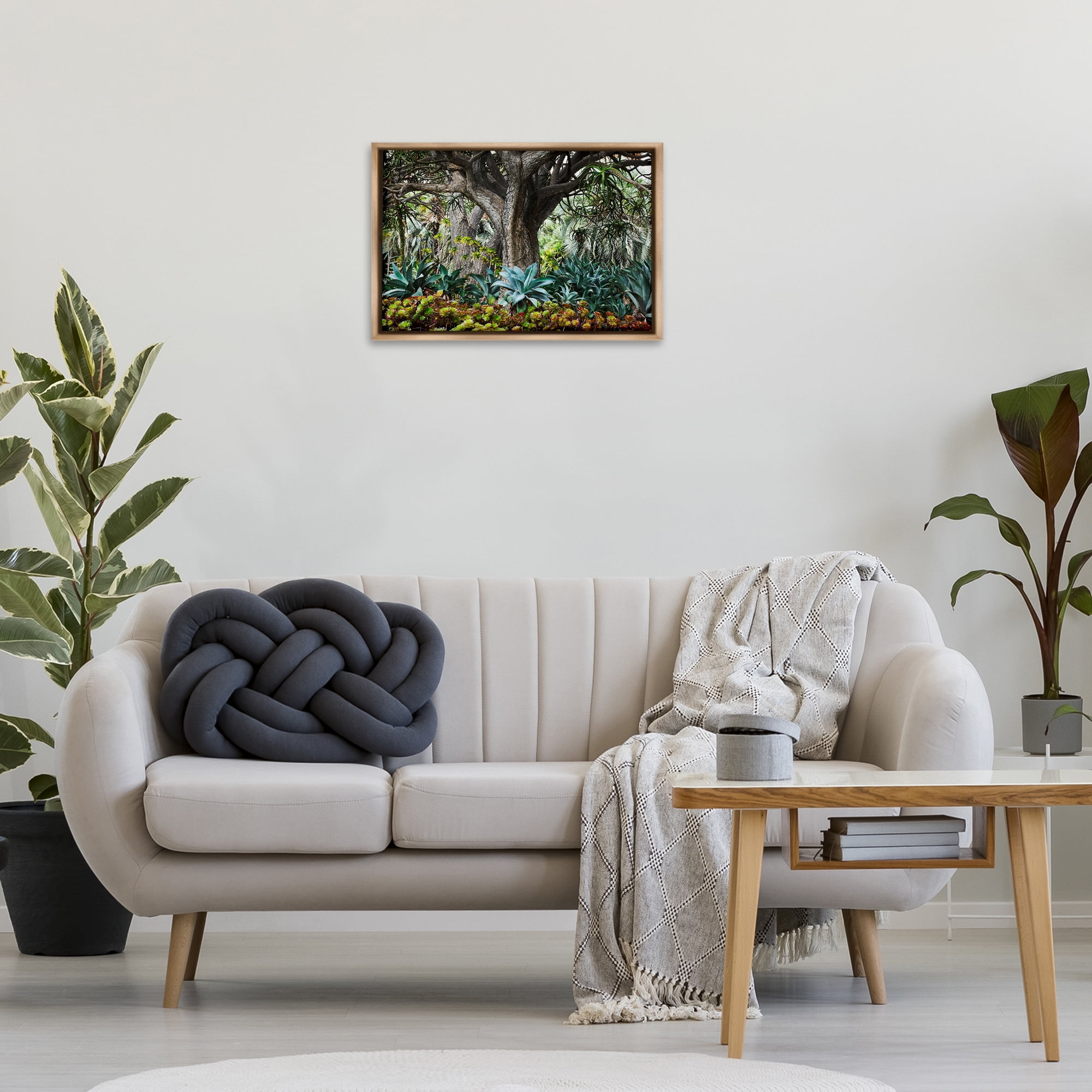 Stupell Industries Lush Tropical Vegetation Landscape & Nature Photography Brown Floater Framed Canvas Art Print Wall Art, 25 x 17