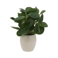 thumbnail image 5 of Mainstays 11-Inch Artificial Peperomia Plant in White Ribbed Glazed Ceramic Pot, 5 of 7