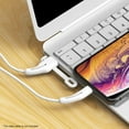 thumbnail image 5 of SPRING PARK Portable Silicone AtoL/CtoL USB Charging Cable Cord Protective Cover for iPhone, 5 of 7