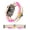 Pink, variant on Heishi Beads Bracelet Compatible with Apple Watch Band Stretch Women Summer Beach Surfer Stackable Clay Preppy Band for Iwatch 38/40/41/42/44/45mm Series SE 8 7 6 5 4 3 2 1