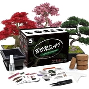 5 Bonsai Tree Kit Complete, Indoor Gardening Potted DIY Gift, for Men, Women, Beginners & Nature Lovers