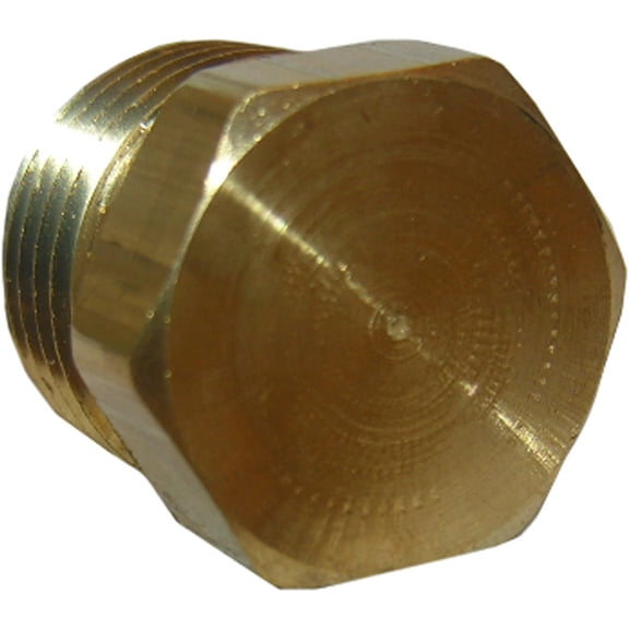 LASCO 17-9169 1/2-Inch Pipe Thread Brass Hex Plug