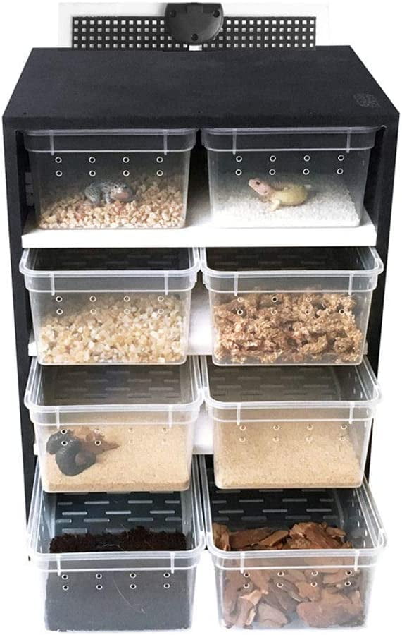 Miumaeov Reptile Feeding Box, Rectangle Black Transparent Reptile Cage Breeding with Hygrometer