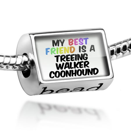 Bead My best Friend a Treeing Walker Coonhound Dog from United States Charm Fits All European