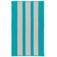 thumbnail image 1 of Colonial Mills Tapis EV37R060X096S Everglades Bande Verticale Zone Tressée Tapis Turquoise - 5 x 8 Pi., 1 of 1