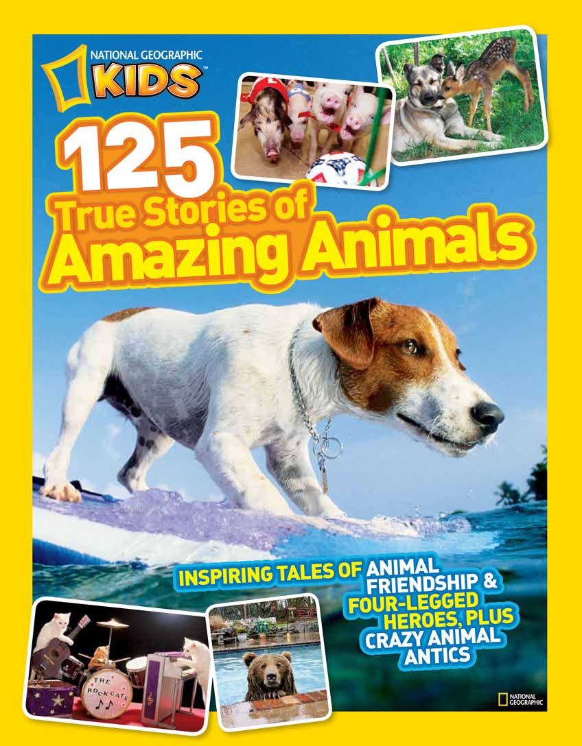 National Geographic Kids 125 True Stories of Amazing Animals : Inspiring Tales of Animal Friendship & Four-Legged Heroes, Plus Crazy Animal Antics