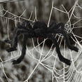thumbnail image 4 of 19.7in Halloween Outdoor Hairy Spider Decorations ,Scary Giant Spider Fake Small,Midum,Large Spider Hairy Spider Props For Halloween Party Yard Decor,Black, 4 of 7