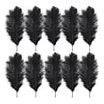 thumbnail image 2 of Plumas Esponjosas Decoración 10 Uds plumas de avestruz esponjosas plumas de fiesta de boda Feather30-35cm (negro) Likrtyny Libre de BPA, 2 of 3