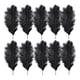 thumbnail image 1 of 10 Uds plumas de avestruz esponjosas plumas de fiesta de boda Feather30-35cm (negro) Ehuebsd  Libre de BPA, 1 of 8