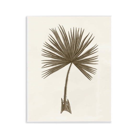 Stupell Industries Shabby Chic Vintage Study of Palm Leaf Wall Plaque Art, 11 x 14, by Phillipa Katz