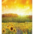 thumbnail image 3 of Ambesonne Oranger Duvet Cover Set, Golden Sunflower Field, 2-Calking, Orange Yellow, 3 of 7