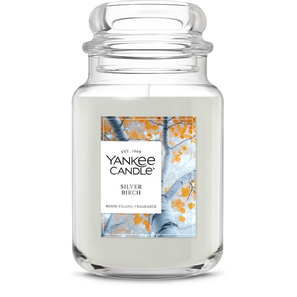 Candle Yankee Candle Silver Birch con aroma a otoño, 650 ml