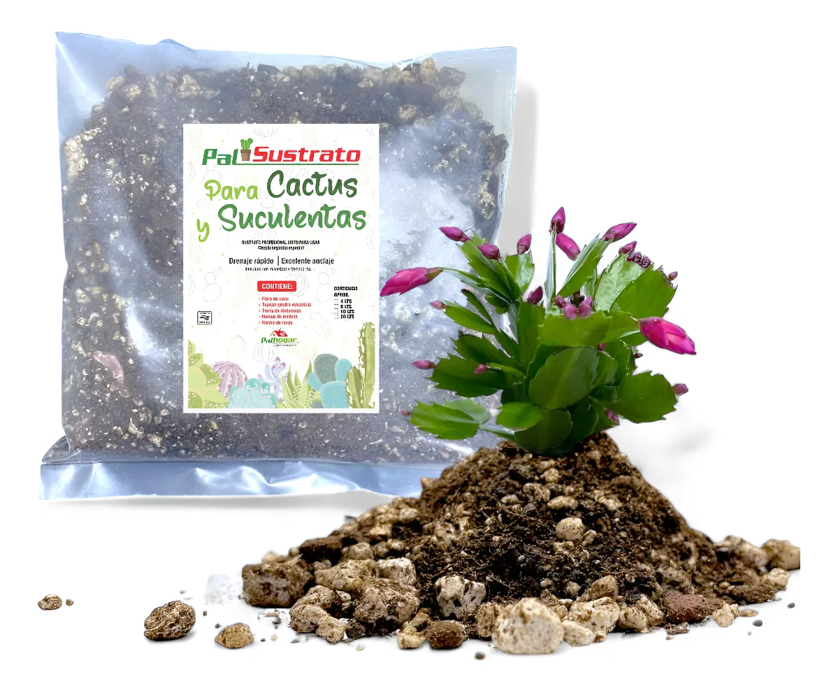 Sustrato Para Cactus Y Suculentas Palhogar 20 Lts | Walmart en lnea