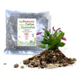 thumbnail image 1 of Sustrato Para Cactus Y Suculentas Palhogar 20 Lts, 1 of 4