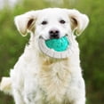 thumbnail image 4 of Pelotas Chirriantes de Juguete para Perros Colco Juguetes para masticar cachorros, 4 of 8