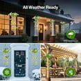 thumbnail image 6 of Cheapark Outdoor Solar-Powered Artificial Plant Climber Lights - Illuminated Greenery for Fences & Porches, Christmas Holiday Decor, 6 of 6