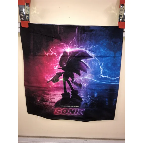 STARLIGHT- Pa6- Sonic Th Hedgehog Throw Pillow Cover 17 X 17" A Whole New Speed Of Hero?