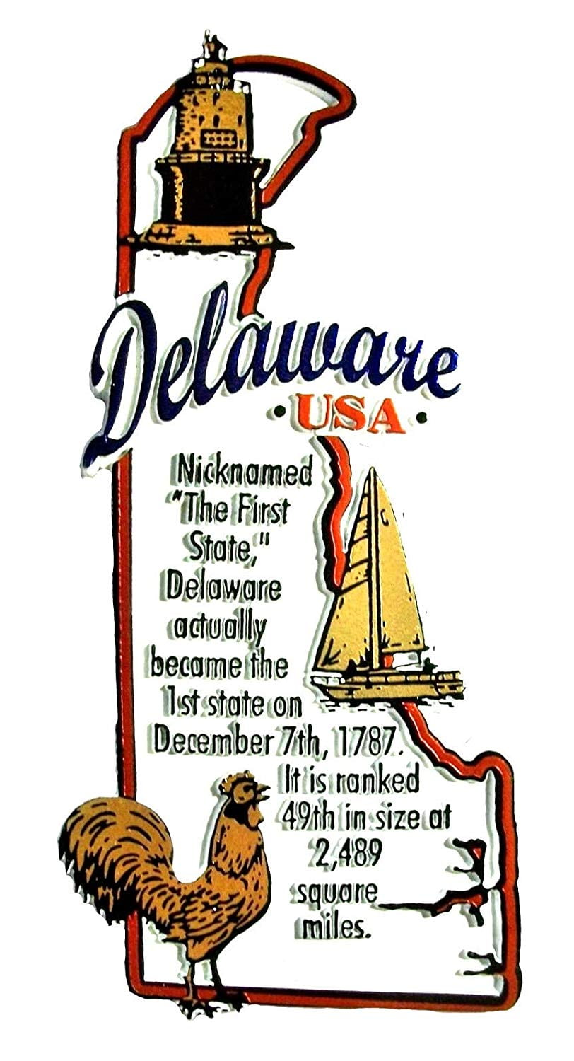 Delaware The First State Montage Fridge Magnet 
