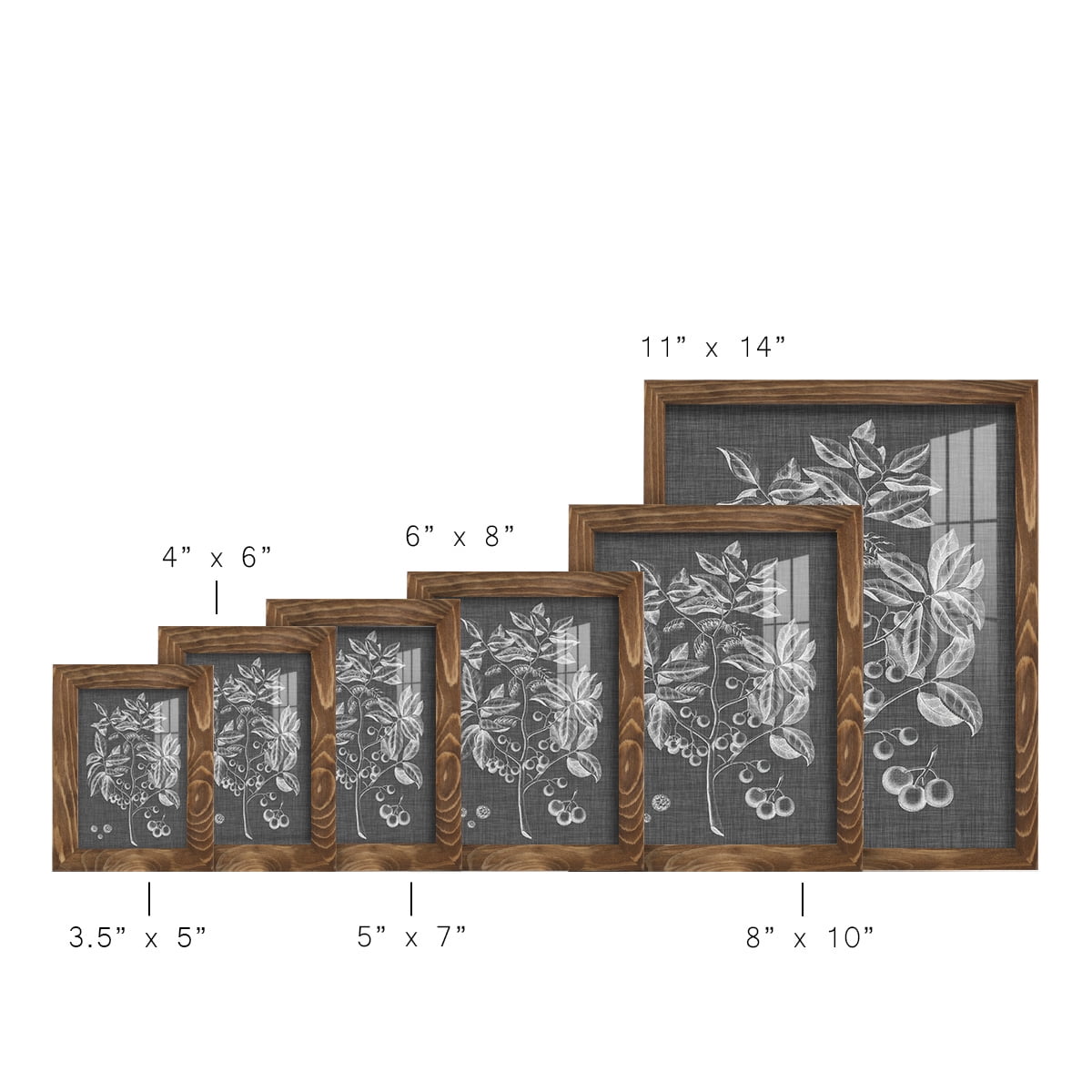 Graphic Foliage VI - Framed Print w/glass - Walnut