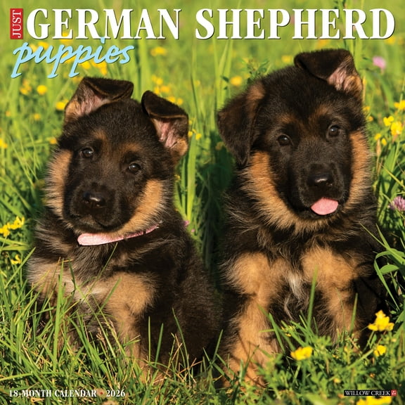 German Shepherd Puppies 2026 Wall Calendar