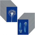 thumbnail image 1 of 60 Sheets Sun Print Paper Cyanotype Paper Kit, A6 Sun Art Paper with 1 Plastic Tool for Sun Printin, 1 of 4