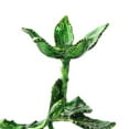 thumbnail image 2 of destyer Display Stand for Crystal Ball Jade Ball Rock Paperweight Holder Base Large, 2 of 9