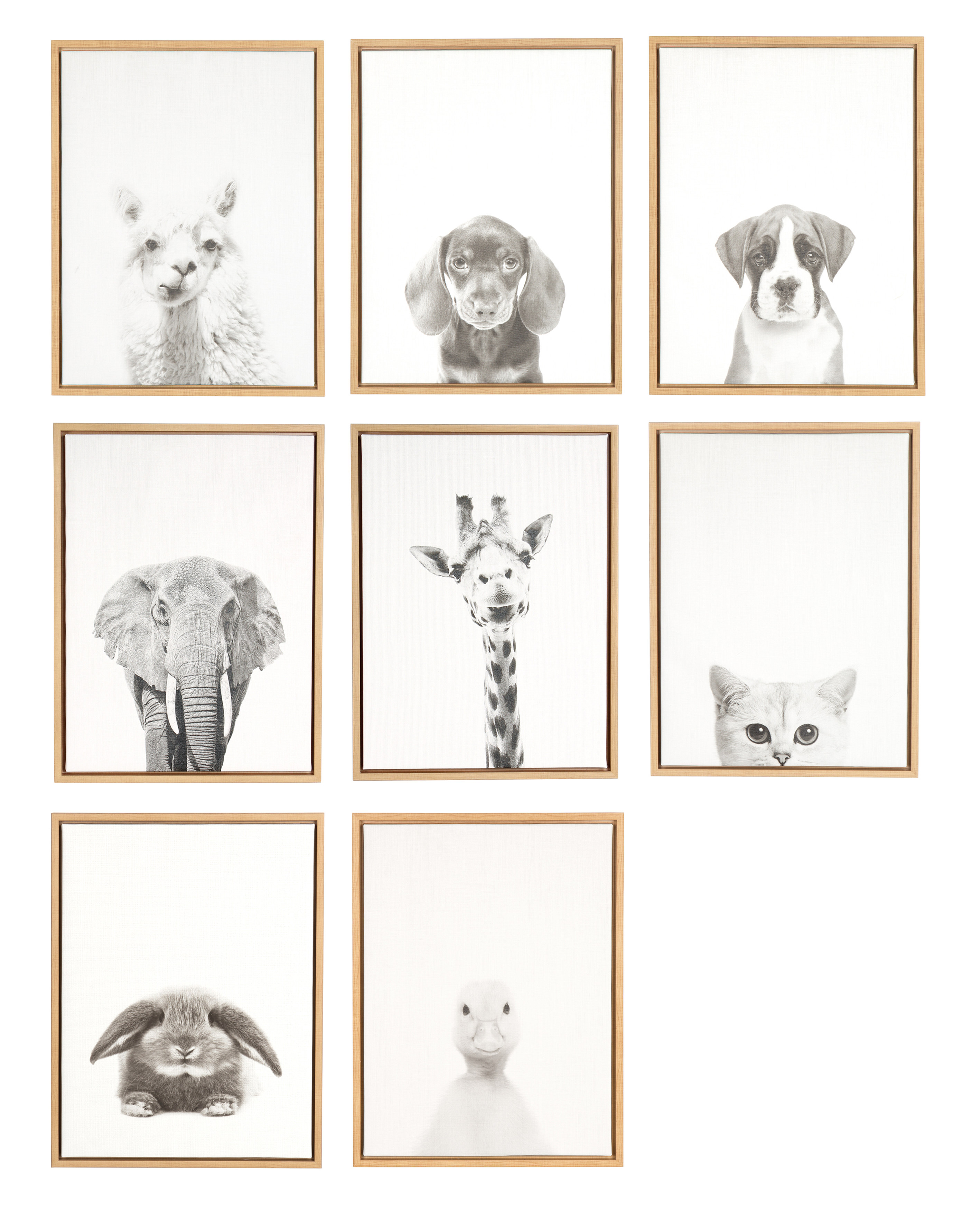 Kate and Laurel Sylvie Alpaca Black and White Portrait Framed Canvas Wall  Art by Simon Te Tai, 18x24 Natural