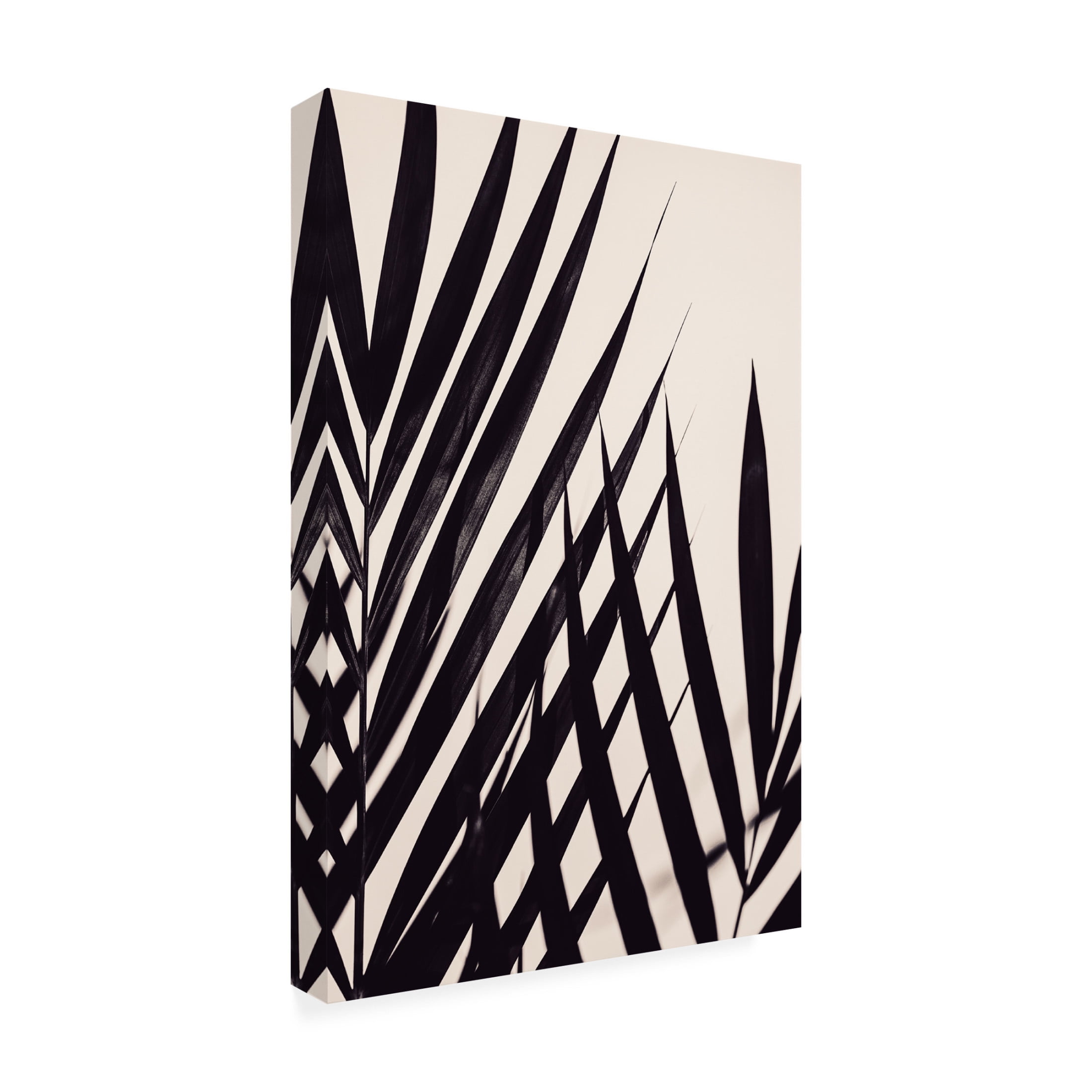 Trademark Fine Art Pictufy Studio III Guldpalm black Canvas Wall Art