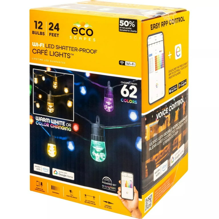 Enbrighten Bundle - Seasons Color-Changing Classic LED Cafe Lights (12  Bulbs, 24ft. Black Cord) with Enbrighten Outdoor Plug-in 2-Outlet WiFi  Smart