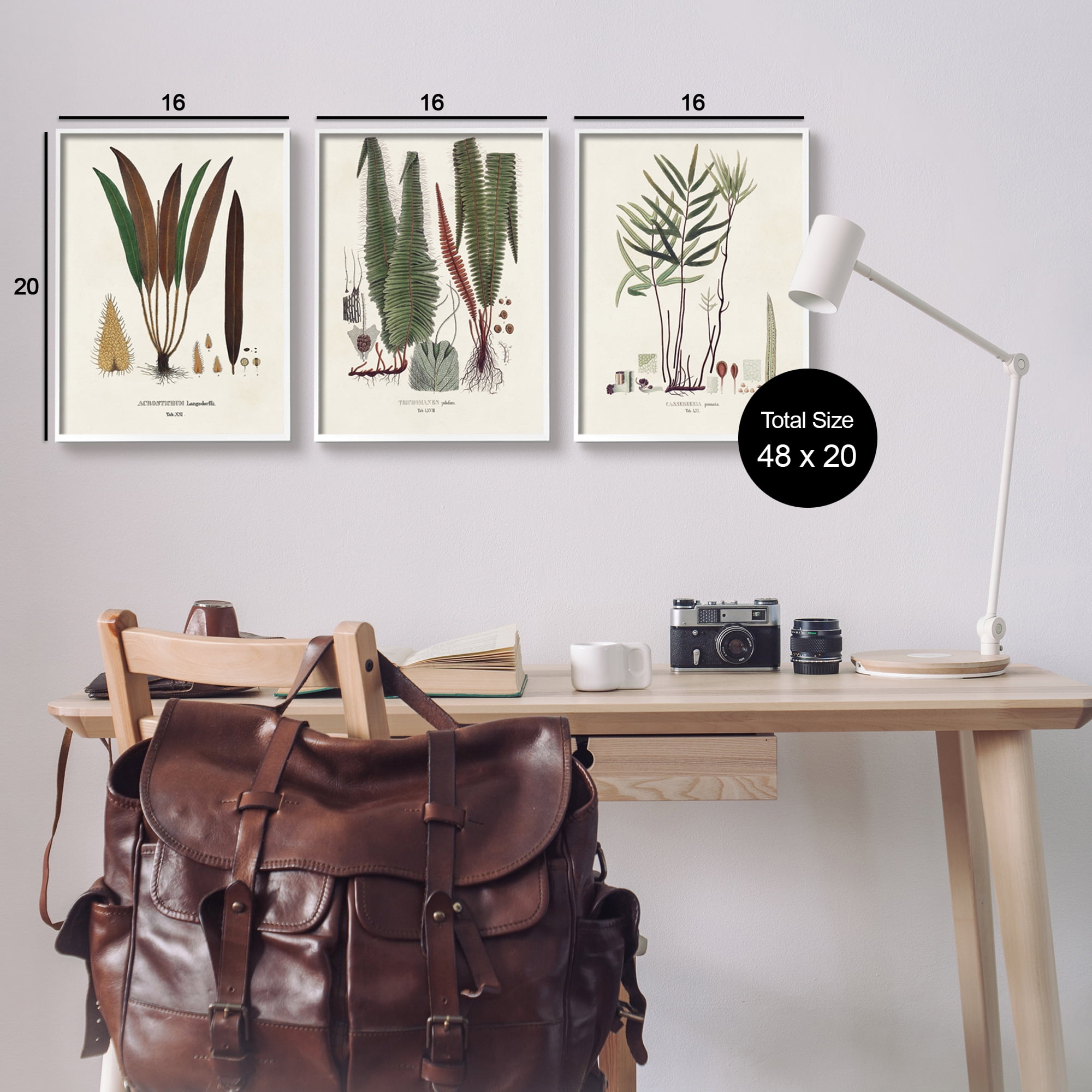 Stupell Industries Vintage Botanical Studies Botanical & Floral Painting White Framed Art Print Wall Art, 16 x 20