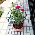 thumbnail image 1 of Soportes para fresas, marcos de sujeción para jardín, postes para plantas trepadoras, soporte elevado para plantar frutas, 1 of 8