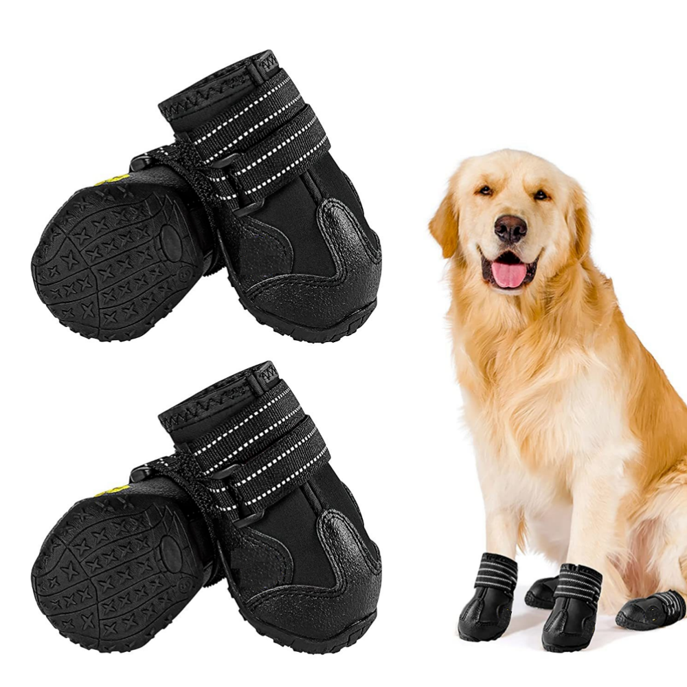 Skid Boot Dog