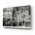 thumbnail image 2 of Epic Art 'Snowy Trees' by Lori Deiter Acrylic Glass Wall Art, 16"x12", 2 of 8