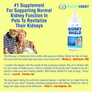 Healthy Kidney Kidney Shield for Cats & Dogs: Canine & Feline Renal Health Support, Animal Supplement