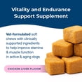 thumbnail image 4 of PetAg Dyne Soft Chews, Endurance and Vitality Supplement - 60 Chicken Liver Flavor Chews, 4 of 11