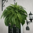 thumbnail image 6 of 2Pcs UV Resistant Lifelike Artificial Boston Fern - 2025 New Faux Boston Ferns Outdoor Planter Large, Artificial Plants for Outdoor, Artificial Ferns for Outdoors Planter, 6 of 6